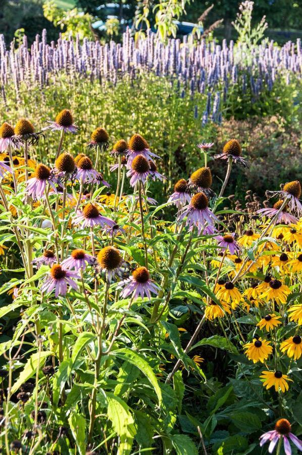 Puurteuven B&B Tussen Kunst En Natuur Voeren Ngoại thất bức ảnh